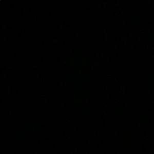 Meet your Posher, Iris